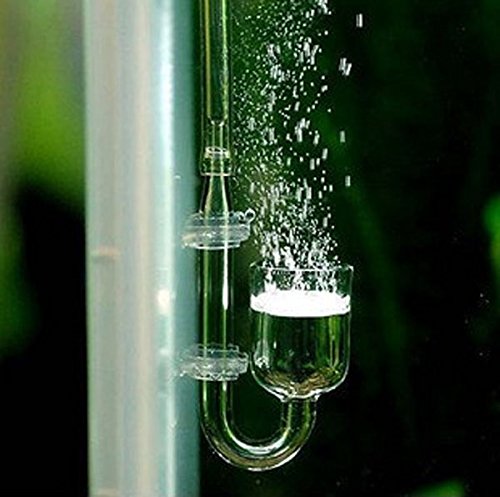 CO2 Diffuser Glass Reactor for Aquarium Planted Tank (CO2 Diffuser) - color: CO2 Diffuser-Nano
