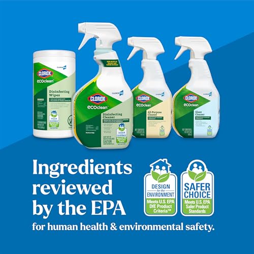 Clorox CloroxPro EcoClean Disinfecting Cleaner Spray Bottle, 32 Fluid Ounces - size: 32 Fl Oz (Pack of 1)