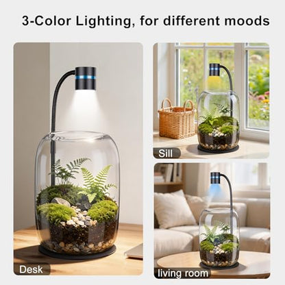 Glass Plant Terrarium with LED Grow Light, Grow Light for Terrarium, Small Desktop Indoor Planter for Venus Fly Trap, Moss & Succulents, Borosilicate Decor Jar for Plant Lovers