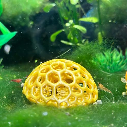 Shrimp Dome Hide, Aquarium Cave for Cherry Shrimp, Black | Dome-shaped aquarium hide creates a sheltered cave and hiding spot for cherry, dwarf and baby shrimp in freshwater tanks - color: Black