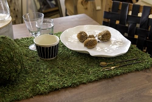 SuperMoss (22432 InstantGreen Moss Mat, Fresh Green, 1.5ft x 48ft - color: Fresh Green, size: 1.5ft x 48ft
