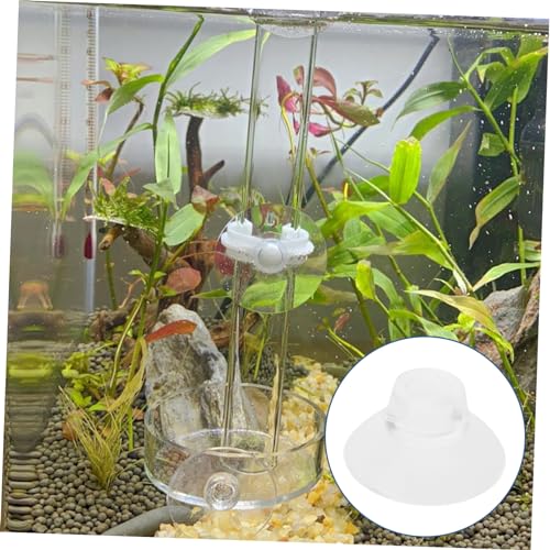GALPADA 50pcs Aquarium Feeder Cups Transparent Fish Tank Suckers for Easy Installation Secure Feeding of Shrimp and Fish for Aquatic Environments - size: 2.60X2.60X1.50CM