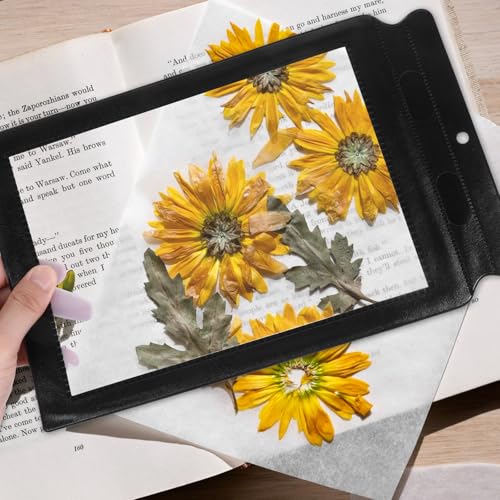 3X Full Page Magnifying Glass for Reading, 12.4 x 7.7 Inch Lightweight Magnifier Sheet Handheld Book Magnifier for Reading Small Prints, Aging Eyes, Low Vision, Seniors (Black) - color: Black