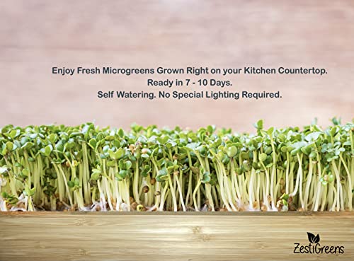 Microgreens Kit Refills - 9 Mats and 9 Different USA Seed Packs | Refill set with 9 plant mats and 9 seed packs for the ZestiGreens microgreens growing kit - color: Sampler Microgreens Refill