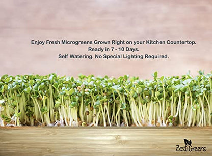 Microgreens Kit Refills - 9 Mats and 9 Different USA Seed Packs | Refill set with 9 plant mats and 9 seed packs for the ZestiGreens microgreens growing kit - color: Sampler Microgreens Refill