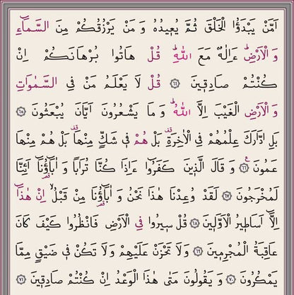 Special Red Velvet Quran (Red, Gilded, Sealed) | Gift to Everyone (Pocket Size 8x11 cm, Light Pink)