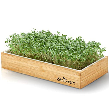 Microgreens Kit Refills - 9 Mats and 9 Different USA Seed Packs | Refill set with 9 plant mats and 9 seed packs for the ZestiGreens microgreens growing kit - color: Sampler Microgreens Refill