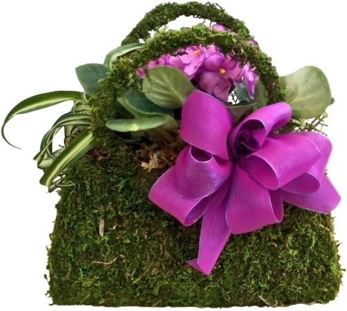 SuperMoss (55500) Beaumont Purse, Fresh Green, Set of 3 (S/M/L) - size: Set of 3 (S/M/L)