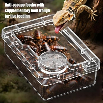 Anti-Escape Crested Gecko Food Dish, Transparent Chameleon Feeding Bowl, Acrylic Reptile Amphibian Habitat Feeders, Pet Supplies, for Tortoise Frog Snake Terrarium Lizard Spider - color: White