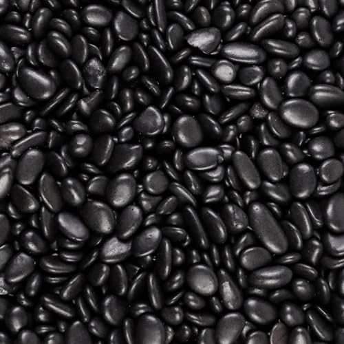 5lb River Rocks Polished Silica Gravel for Plants, Garden Decorative Pebbles Ideal for Fish Tank, Vases, Succulents, Crafting, Home Decor and Garden Landscaping, Polished Black - color: Black
