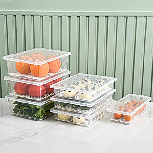 4PCS Food Storage Container, Plastic Food Containers X-Large | [With Removable Drain Plate and Lid], [Stackable Portable Freezer Storage Containers]-Tray to Keep Fruits, Vegetables, Meat - size: X-Large(4PCS)