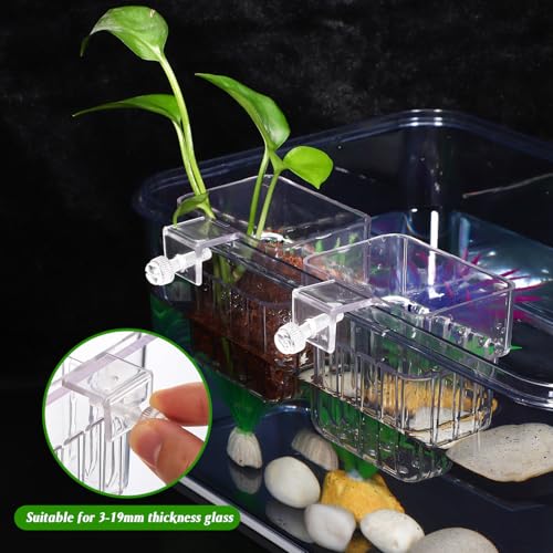 NOLITOY 4 Pack Aquarium Plant Cups Clear Acrylic Hanging Aquarium Plant Holder with Bottom Holes and Screw Fixture Fish Tank Pots for Live Plants Accessories