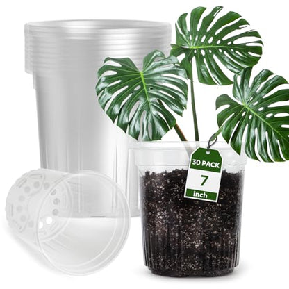 Bluepro Clear Nursery Pots with Drainage Holes, 7 Inch, 1 Gallon, 30-Pack | Clear PET, 1-Gallon Capacity, Root and Moisture Visibility, Flexible, Reusable, Indoor/Outdoor Use, Propagation and Repotting - size: 7 Inch-30Pcs