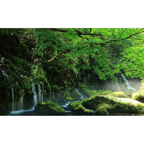 Mountain Waterfall Aquarium Background Tropical Jungle Rainforest Fish Tank Background Stunning Cascading Falls Mossy Rocks Terrarium Backgrounds Tranquil Stream Trees Reptile Tank Backgrounds 24x12in - color: Green, size: 24(W)x12(H)in
