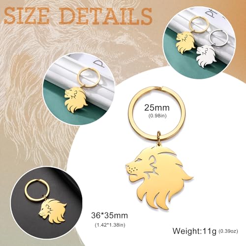 Dreamtimes Lion With King Crown Keychain for Men Stainless Steel Lion Punk Rock Keychain Bag Car Key Pendant Keychain - color: Gold-2