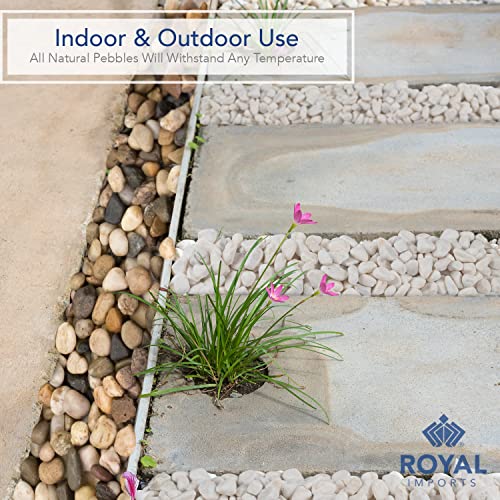 Royal Imports River Rocks, Aquarium Gravel – Marble 0.5"-0.75" - 5 lbs | Decorative Ornamental Vase Filler Pebbles for Potted Plants, Terrariums, Vases, Succulents, Fish Tank Gravel, DIY & Crafting - size: Small - 5 lbs, style: Marble