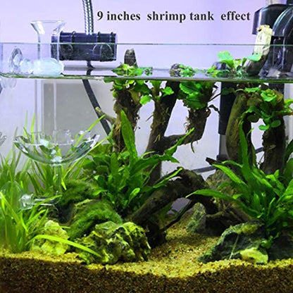 Shrimp Feeding Tube and Feeding Dish, Fit for Shrimp Fish, Mini Size, High Transparent Acrylic Material