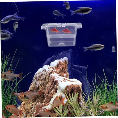 Self-Floating Fish Breeding Box Double-Layer Fry Incubator for Betta Fish Aquarium Nursery Divider with Easy Access