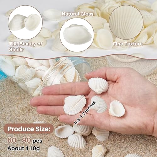 MAQIHAN Natural White Seashells for Crafts - Small Clam Shells 0.8-1.2 in | Tiny Natural Seashells for DIY Crafting, Vase Filler, Beach Wedding, Coastal Decor, Resin Art, Party Tables & Home Displays - style: White