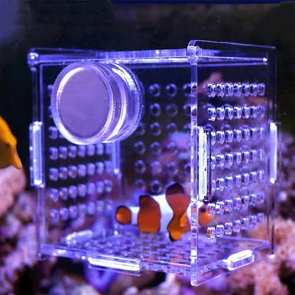 Acrylic Fish Breeding Box, Magnetic Fish Isolation Box Fish Separator for Aquarium Hatchery Incubator Tank for Baby Fishes Shrimp Clownfish Guppy (Small, Reinforced Magnetic Model) - size: Small, Reinforced magnetic model