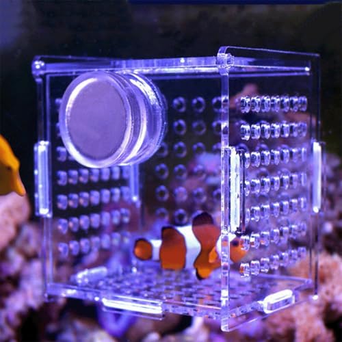 Generic Acrylic Fish Breeding Box, Magnetic Fish Isolation Box for Aquarium Hatchery Incubator Tank for Baby Fishes Shrimp Clownfish Guppy - size: Small, Normal magnetic model