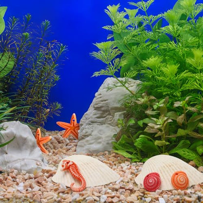 TENDYCOCO Mini Beach Seashells Sea Star Seahorse Natural Conch for Home Decorations Beach Theme Party Wedding DIY Crafts Fish Tank Vase Fillers Bonsai Decor 48pcs