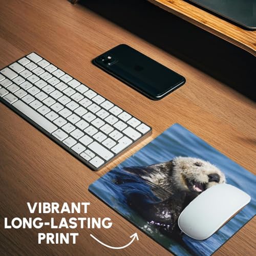 3dRose LLC 8 x 8 x 0.25 Inches Mouse Pad, California Sea Otter Moss Landing California Jim Goldstein (mp_88466_1)