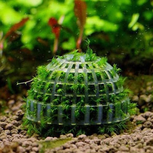 Shrimp Aquarium Media Moss Ball Holder Eco Friendly Plastic Transparent Aquatic Planting Fixed Ball Shrimp House Hiding Breeding House