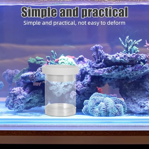 Floating Fish Breeding Isolation Box and Egg Incubator System, Small White Aquarium Hatchery Tank Divider for Guppy Fry Nursery and Fish Tank Separation