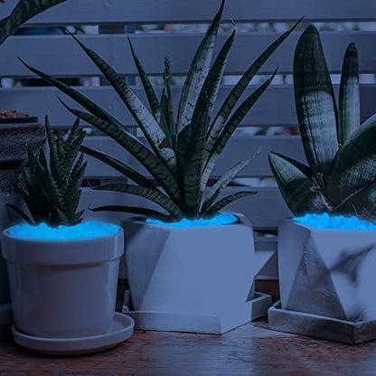 600PC Glow in The Dark Rocks Outdoor Decorative Stones Luminous Stones Garden Pebbles Glowing Rocks for Garden,Potted Plants,Patio,Lawn,Blue - size: 600, style: Blue