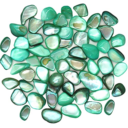 MOP Small Mini Green Crushed Mother of Pearl Shells | Natural Seashell Fragments for Crafts, Vase Filler and Wedding Decor, 32 oz (2 lb) - color: Green