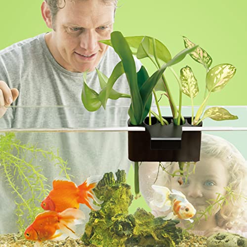 Aquarium Plant Holder with 5 Hole, Plastic Aquatic Plant Pot, Aquarium Planter Cups for Aquarium Plants Live, Aquarium Decor for Fish Tank Live Plants, 1.5inch - size: 1.5 Inch