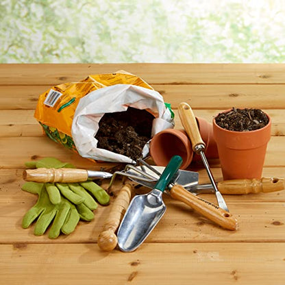 Life is Good Rocket's Garden 5 Gallon Bucket, 2 Pack, BPA-Free | Heavy-duty plastic buckets with comfortable handles for gardening, cleaning, storage, and home improvement projects. - size: Rocket's Garden