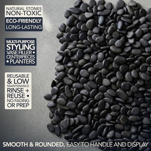 Royal Imports River Rocks, Aquarium Gravel – Black 0.5"- 0.75" - 30 lbs | Decorative Ornamental Vase Filler Pebbles for Potted Plants, Terrariums, Vases, Succulents, Fish Tank Gravel, DIY & Crafting - size: Small - 30 lbs, style: Black