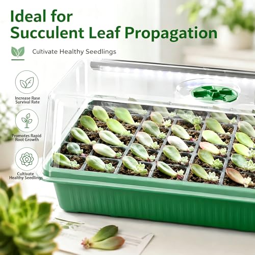 Seed Starter Tray with Timed Grow Light, 2 Pack 80 Cells Plant Starter Tray Seedling Starter Kit with Humidity Domes Base Indoor Mini Greenhouse Plant Germination Trays for Seeds Growing Starting