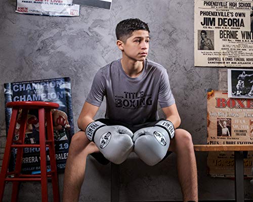 Pro Mex Professional Training Gloves V 3.0 - color: Silver, size: 16 oz