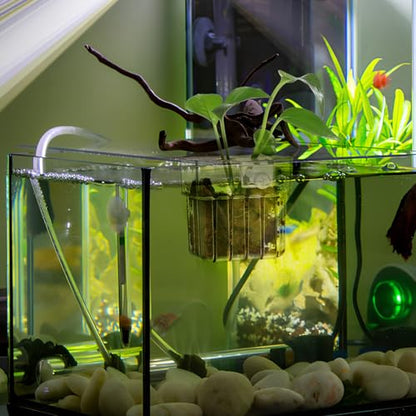 NOLITOY 4 Pack Aquarium Plant Cups Clear Acrylic Hanging Aquarium Plant Holder with Bottom Holes and Screw Fixture Fish Tank Pots for Live Plants Accessories