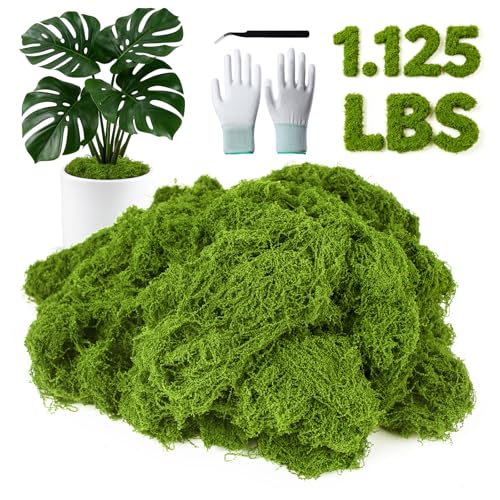 MGLIFEUL 1.125LB Fake Green Moss for Plants Indoor with Gloves and Tweezers | Artificial Faux Moss for Craft DIY Table Centerpieces Living Walls Fairy Garden Indoor Outdoor Home Decorating Model Making - color: Light Green, size: 1.125 LBS