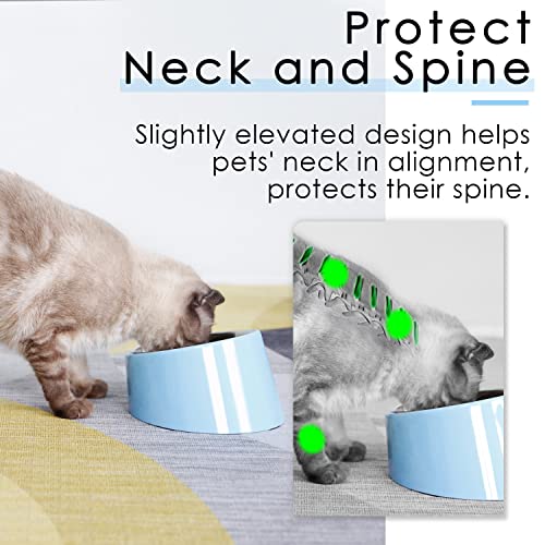SuperDesign Mess Free 15° Slanted Bowl for Dogs and Cats, Tilted Angle Bulldog Bowl Dog Feeder, Non-Skid & Non-Spill, Easier to Reach Food M/1 Cup Blue - color: Blue, size: M/1 Cup