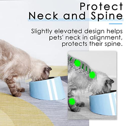 SuperDesign Mess Free 15° Slanted Bowl for Dogs and Cats, Tilted Angle Bulldog Bowl Dog Feeder, Non-Skid & Non-Spill, Easier to Reach Food M/1 Cup Blue - color: Blue, size: M/1 Cup