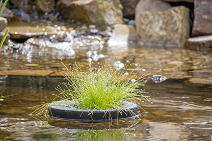 PondH2o Floating Aquatic Water Garden Pond Planter Basket, 10 Inch (26cm) Round Fabric Floatable Flower Plant Pot Aquaponics, Hydroponics, Flower Islands for Ponds and Water Features