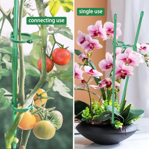 Belit 8 Pack Small Plant Support Plant Stakes, Adjustable Garden Single Stem Support Stake, Planter Support Ring for Orchid, Rose, Peony, Peppers and More, DIY 24 inch - size: 24Inch