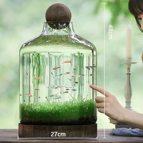 Glass Aquarium with Wooden Base, Microecosphere Fish Tank, Transparent Bottle-Shaped Batta Fish Bowel, Micro-Landscape Ecological Aquarium, Modern Glass Goldfish Tank,XL - color: Xl