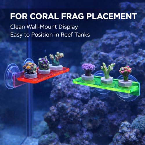 kcrygogo Acrylic Coral Frag Rack with Double Suction Cups, 3 Hole Coral Plug Holder for Reef Tank Aquarium, Fluorescent Green & Fluorescent Red, 2PCS