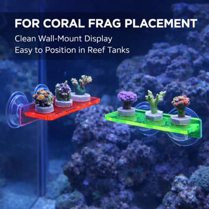 kcrygogo Acrylic Coral Frag Rack with Double Suction Cups, 3 Hole Coral Plug Holder for Reef Tank Aquarium, Fluorescent Green & Fluorescent Red, 2PCS