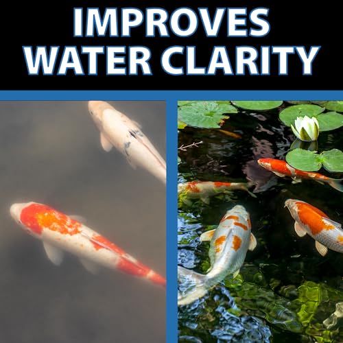CrystalClear BioClarifier Small Pond & Water Garden Clarifier, 12 Packets | Cleaner for cloudy water with beneficial microbe treatment to improve water clarity; fish, plant & pet safe - size: 12 Packets