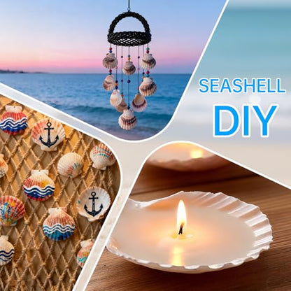30PCS Large Natural Scallop Shells for Crafts, 4-5 in White Sea Shells, DIY | Smooth, cleaned surfaces suit painting, resin art, candle making, baking displays, weddings, classrooms and ocean parties. - size: 30PCS (4-5in)