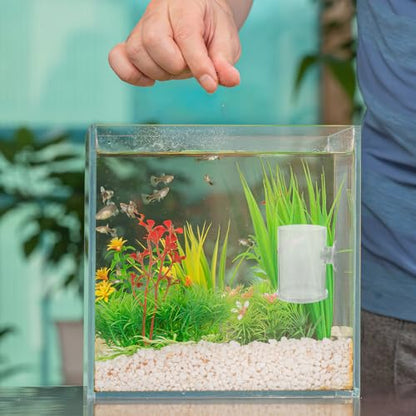 TEHAUX Fish Feeder Ring with Suction Cup Acrylic Shrimp Feeding Rack for Aquarium Tank Freshwater and Saltwater Fish Feeding Tool Vacation Feeder Station