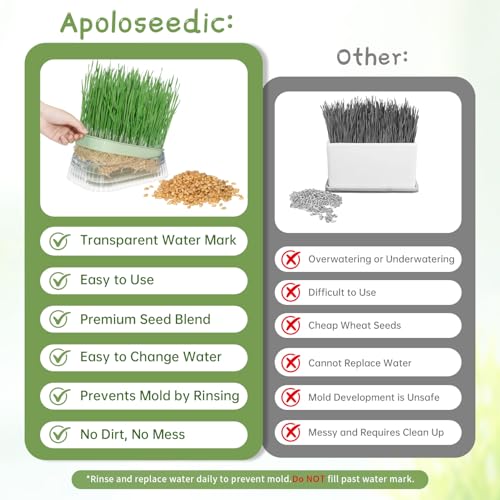 Cat Grass for Indoor Cats with 5 Pack Non GMO Wheat Seeds, Organic Grass Growing Kit, Soil-Free Planter, Perfect for Beginners, Cat Friendly Plants, Ideal Birthday Gift for Cat Lovers