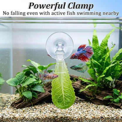 6 Pcs Aquarium Suction Cups with Clips - Aquarium Suction Cup Clips | Clear Plastic fish feeder Tool for Advertising Display Business Cards Fishes Feeding Veggie Feed Holder